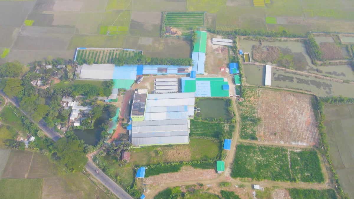 Original aerial photograph of the Bold Partners rural setting, with low factory roofs, fields, trees and ponds.